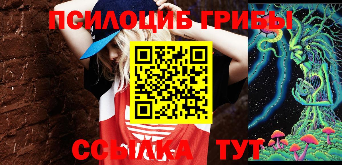 Галлюциногенные грибы Psilocybe  Вход с VPN  Скопин 