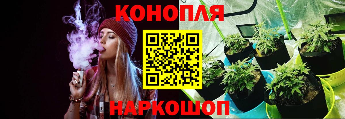Бошки марихуана сатива  Бошки марихуана марихуана  Вход с VPN  Скопин 